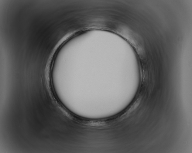 X0000086781325200705111747