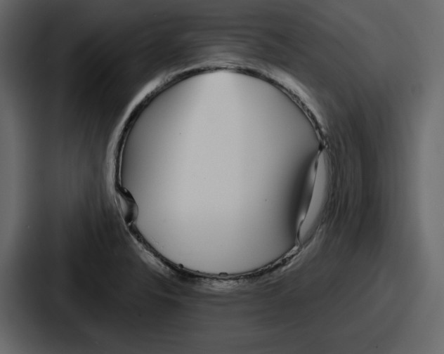 X0000086781326200705111747