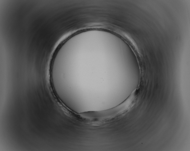 X0000086781328200705111747