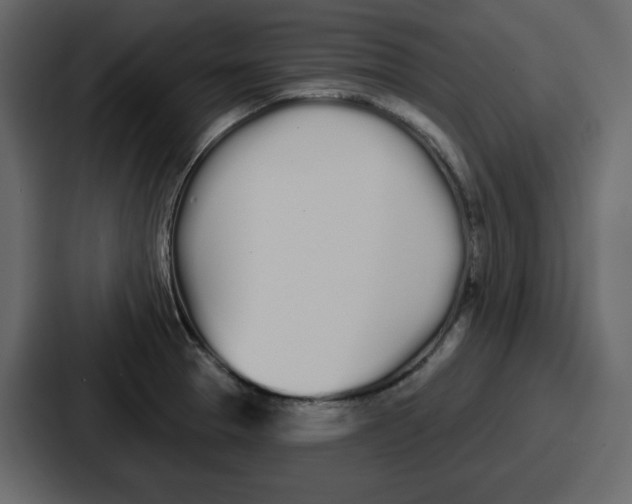 X0000086781329200705111747