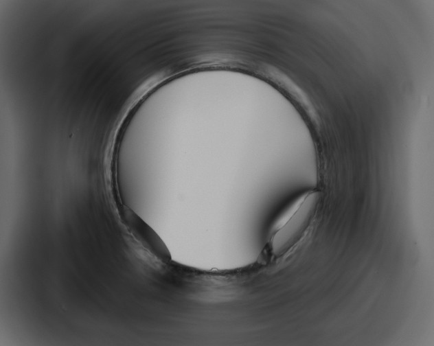 X0000086781330200705111747