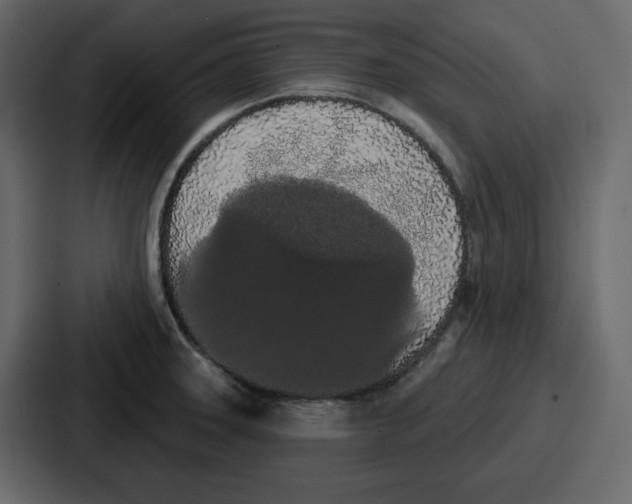 X0000086781331200705111747