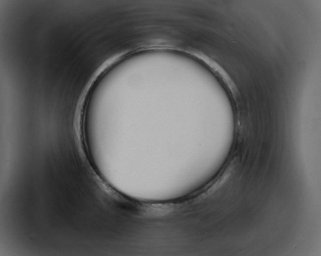 X0000086781333200705111747