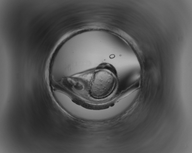 X0000086781334200705111747