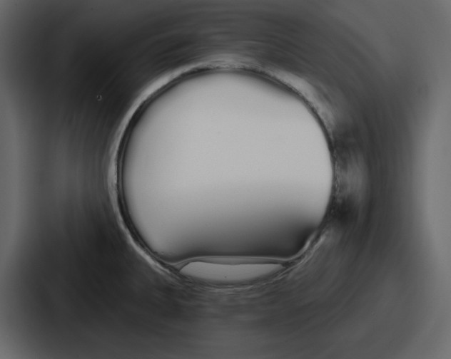 X0000086781335200705111747