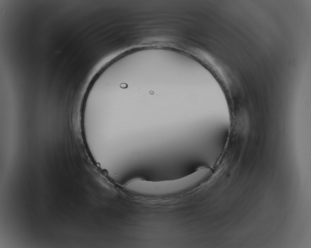 X0000086781336200705111747