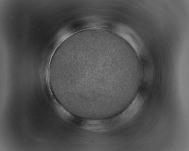 X0000086781338200705111747