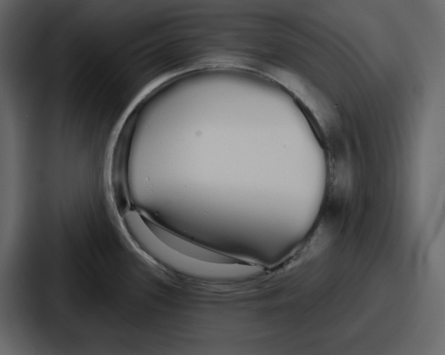 X0000086781339200705111747