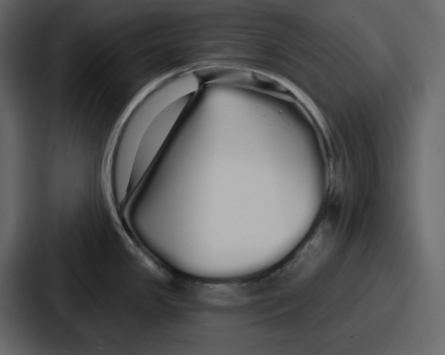 X0000086781341200705111747