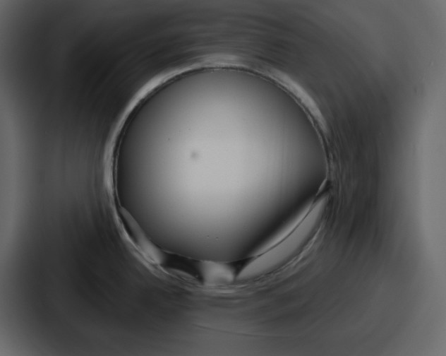 X0000086781342200705111747