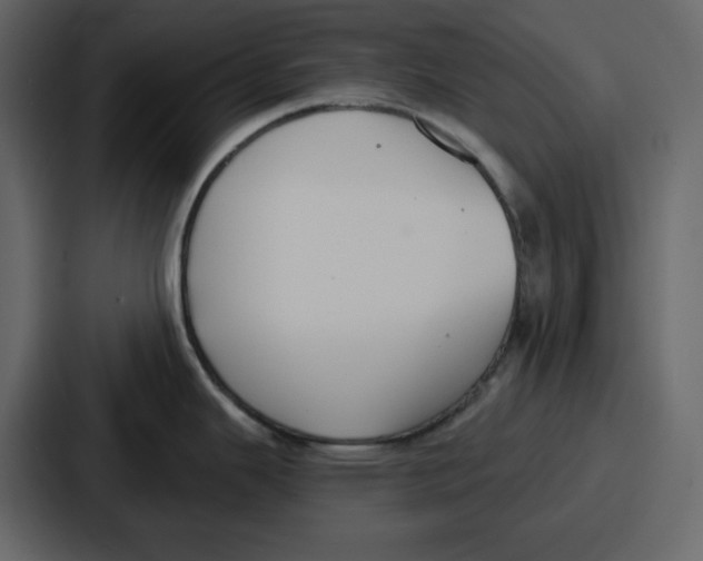 X0000086781343200705111747