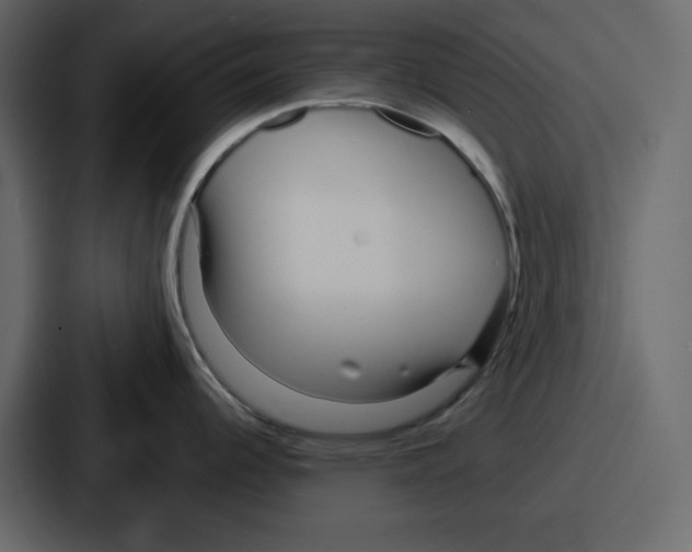 X0000086781344200705111747