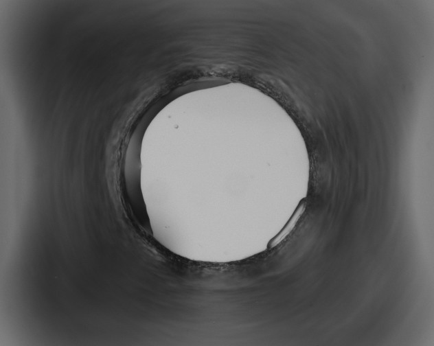 X0000086781345200705111747