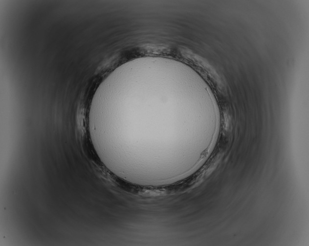 X0000086781346200705111747