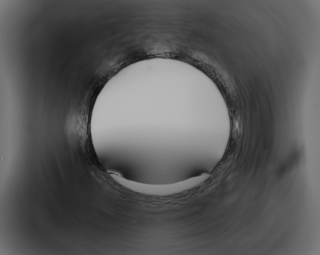 X0000086781348200705111747