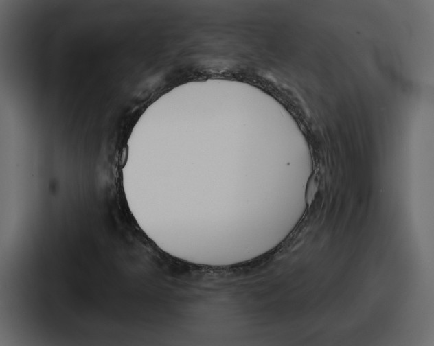 X0000086781349200705111747