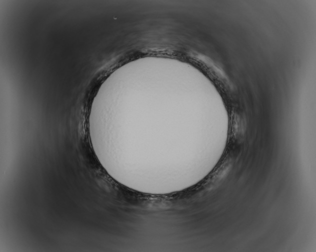 X0000086781350200705111747