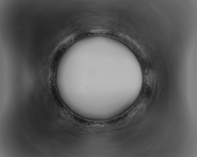 X0000086781351200705111747