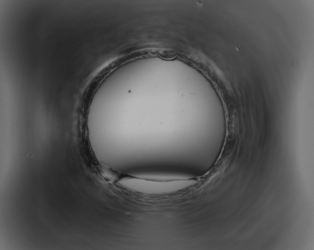 X0000086781352200705111747