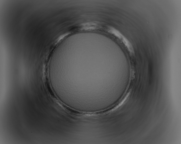 X0000086781353200705111747