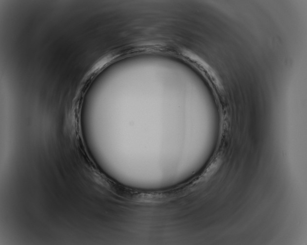 X0000086781354200705111747