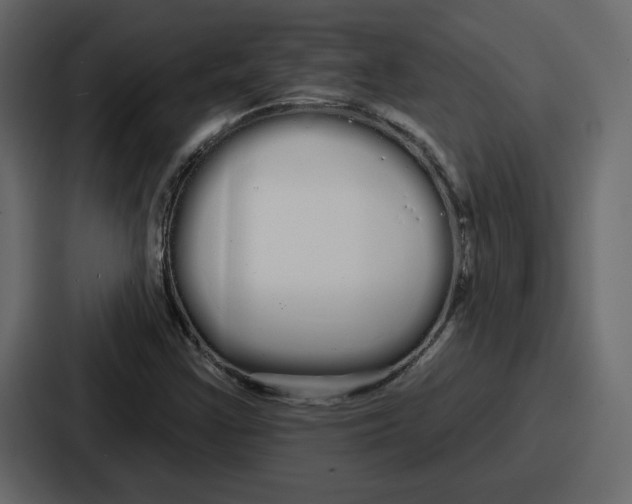 X0000086781355200705111747