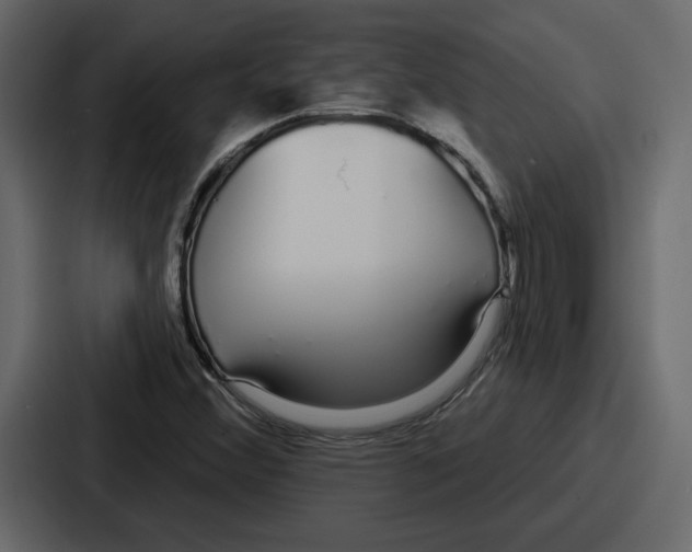 X0000086781356200705111747