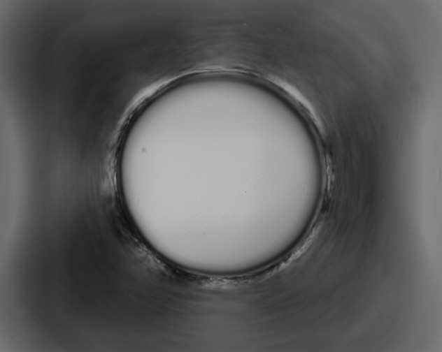 X0000086781358200705111747