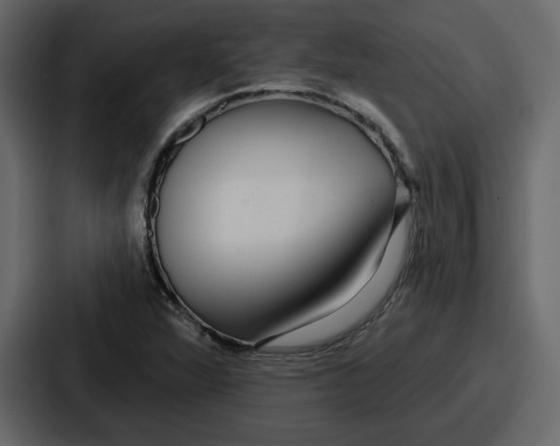 X0000086781360200705111747