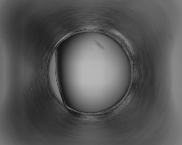 X0000086781361200705111747