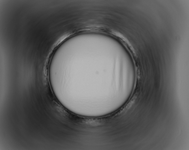 X0000086781362200705111746