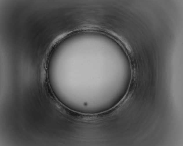 X0000086781363200705111746