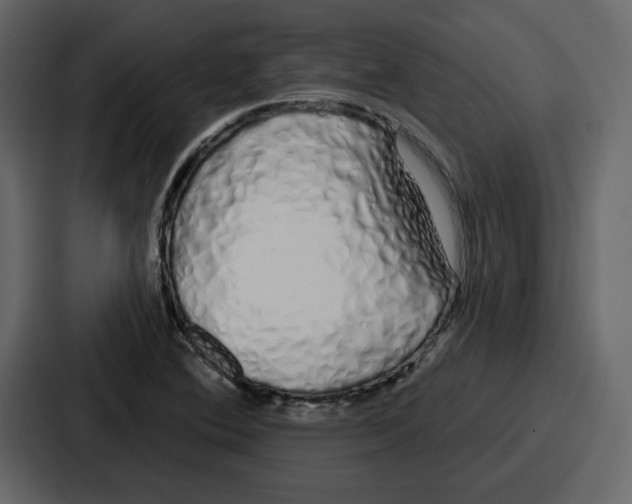 X0000086781364200705111746