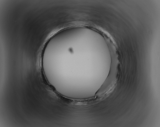 X0000086781365200705111746