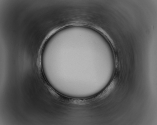 X0000086781366200705111746