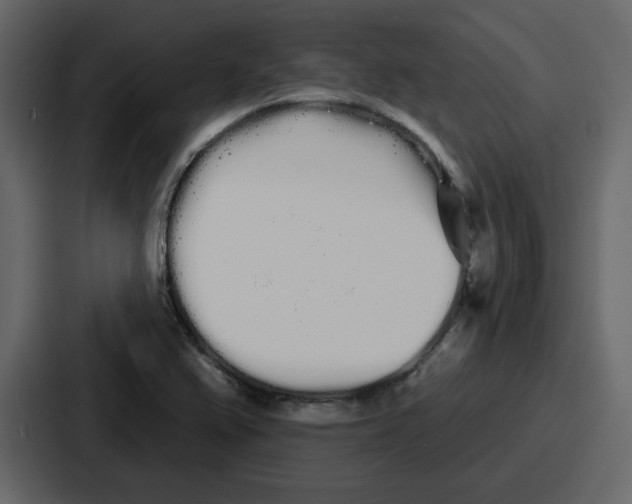 X0000086781367200705111746