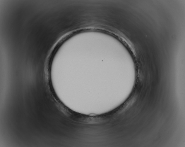 X0000086781368200705111746