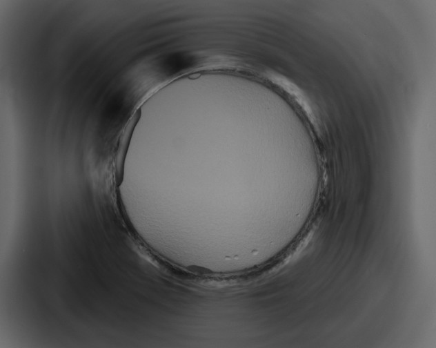 X0000086781369200705111746