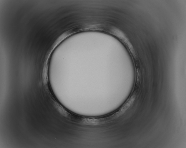 X0000086781370200705111746