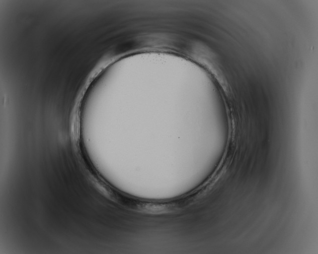 X0000086781371200705111746