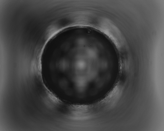 X0000086781372200705111746