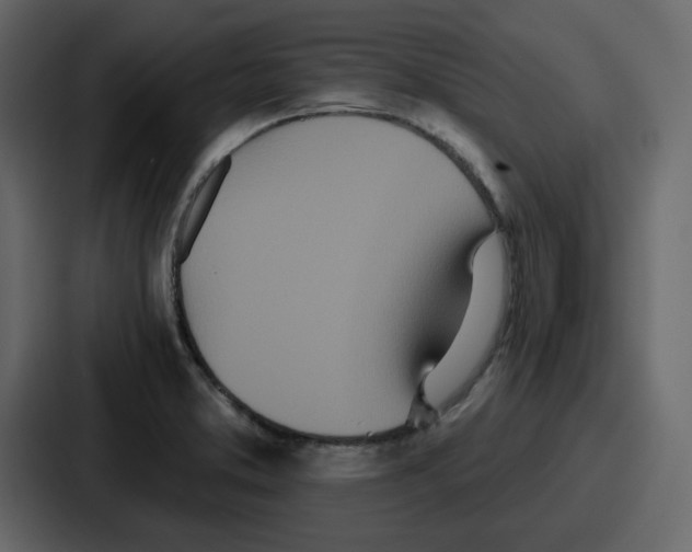 X0000086781373200705111746