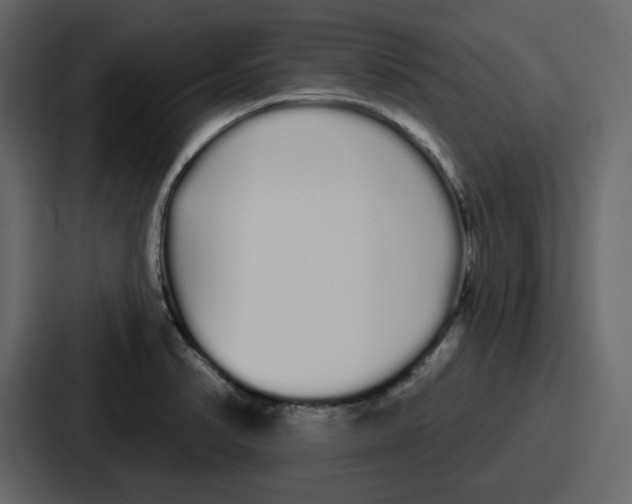 X0000086781374200705111746