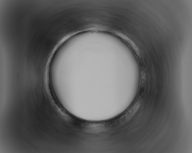 X0000086781375200705111746