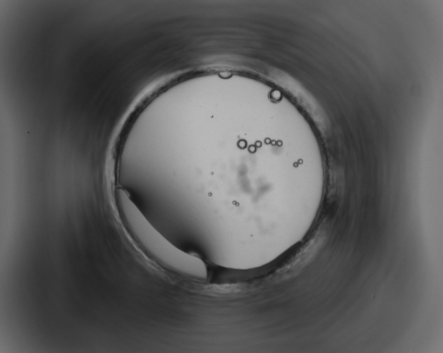 X0000086781376200705111746