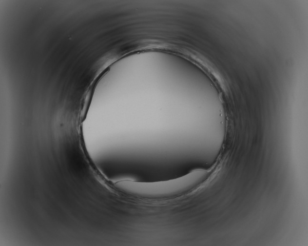 X0000086781377200705111746