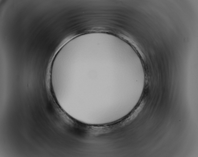 X0000086781378200705111746