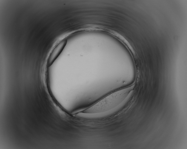 X0000086781379200705111746