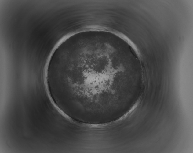 X0000086781381200705111746