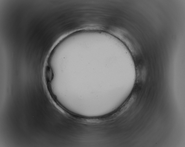 X0000086781383200705111746